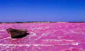 Le Lac Rose (Lac Retba) – La Merveille Naturelle du Sénégal